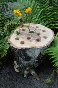 mehrfach Baumvase aus Birke