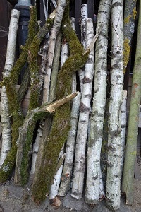 St&auml;mme im Lager